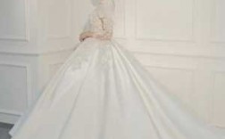 优雅的婚纱照-优雅简约婚纱长袖图片