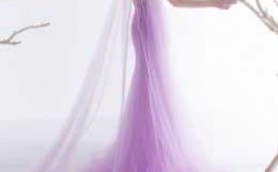婚礼披肩紫色_婚纱 披肩