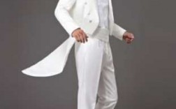  白色燕尾服男士西装图片「白色燕尾蝶图片」